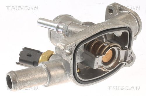 Termostatas, aušinimo skystis TRISCAN 8620 44080
