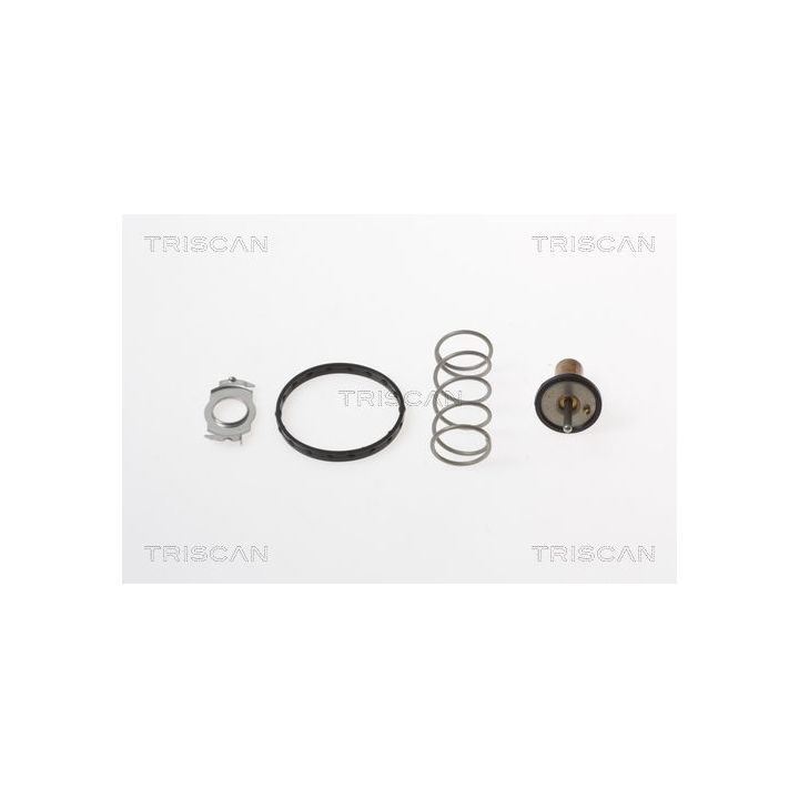 Termostatas, aušinimo skystis TRISCAN 8620 44890
