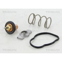 Termostatas, aušinimo skystis TRISCAN 8620 45383