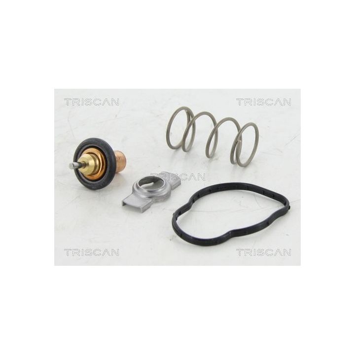 Termostatas, aušinimo skystis TRISCAN 8620 45383