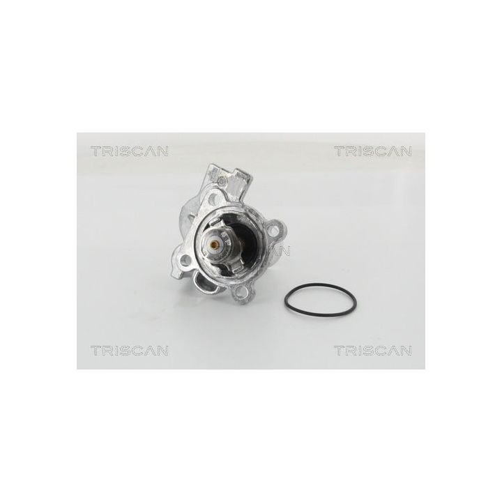 Termostatas, aušinimo skystis TRISCAN 8620 46182