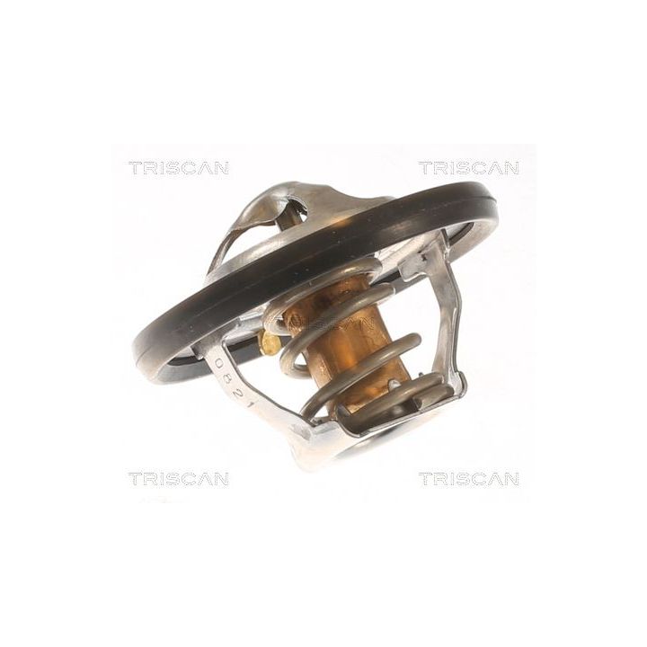 Termostatas, aušinimo skystis TRISCAN 8620 48281