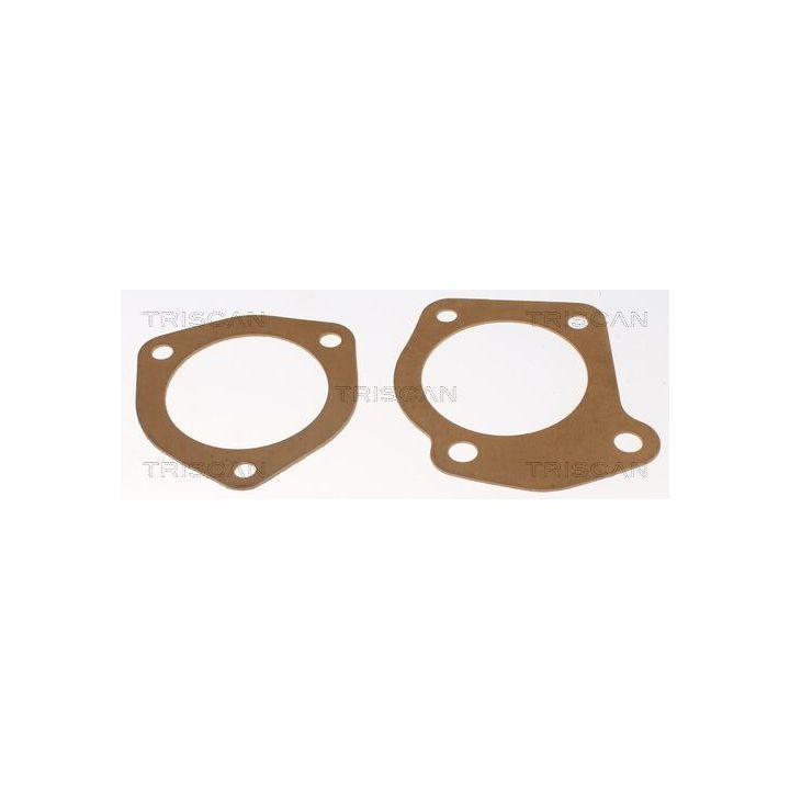 Termostatas, aušinimo skystis TRISCAN 8620 4982