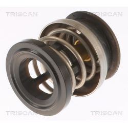 Termostatas, aušinimo skystis TRISCAN 8620 49988