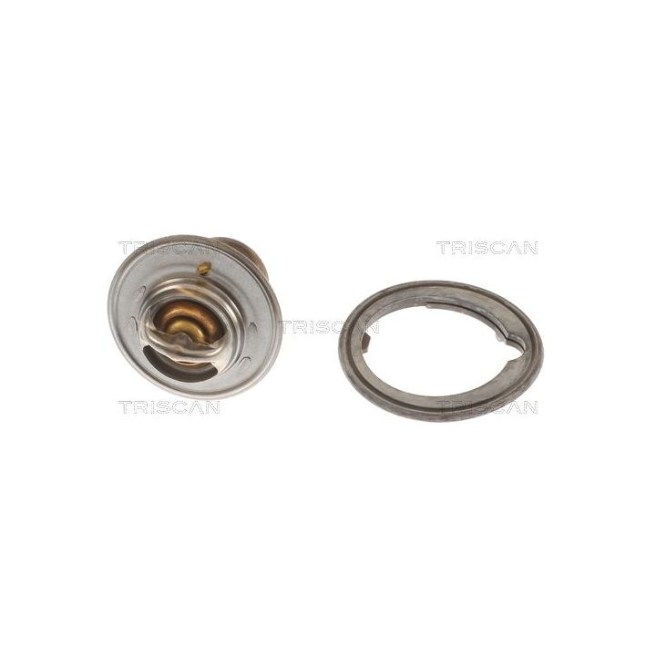 Termostatas, aušinimo skystis TRISCAN 8620 5078