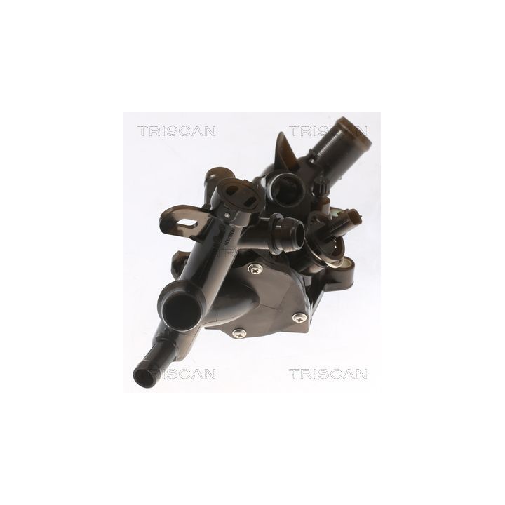 Termostatas, aušinimo skystis TRISCAN 8620 546