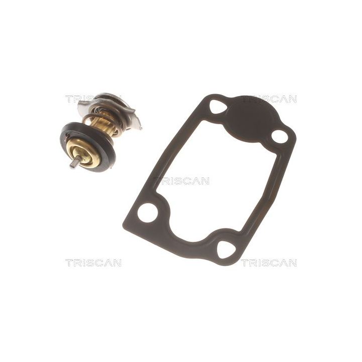 Termostatas, aušinimo skystis TRISCAN 8620 54679
