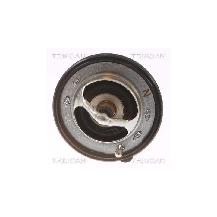Termostatas, aušinimo skystis TRISCAN 8620 54788