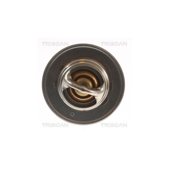 Termostatas, aušinimo skystis TRISCAN 8620 5488