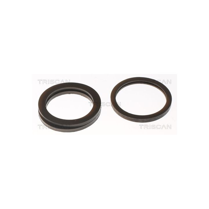 Termostatas, aušinimo skystis TRISCAN 8620 5488