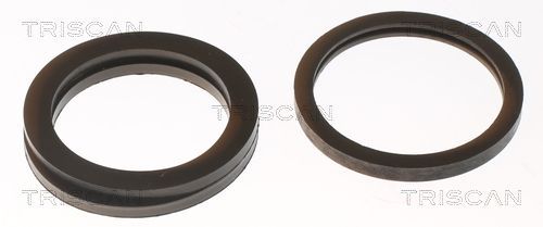 Termostatas, aušinimo skystis TRISCAN 8620 5488