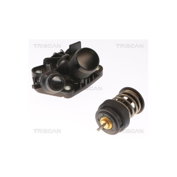 Termostatas, aušinimo skystis TRISCAN 8620 55185