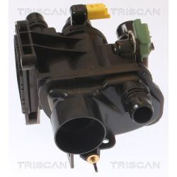 Termostatas, aušinimo skystis TRISCAN 8620 55197