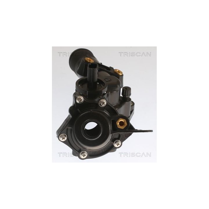 Termostatas, aušinimo skystis TRISCAN 8620 55483