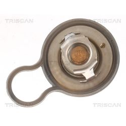 Termostatas, aušinimo skystis TRISCAN 8620 55484