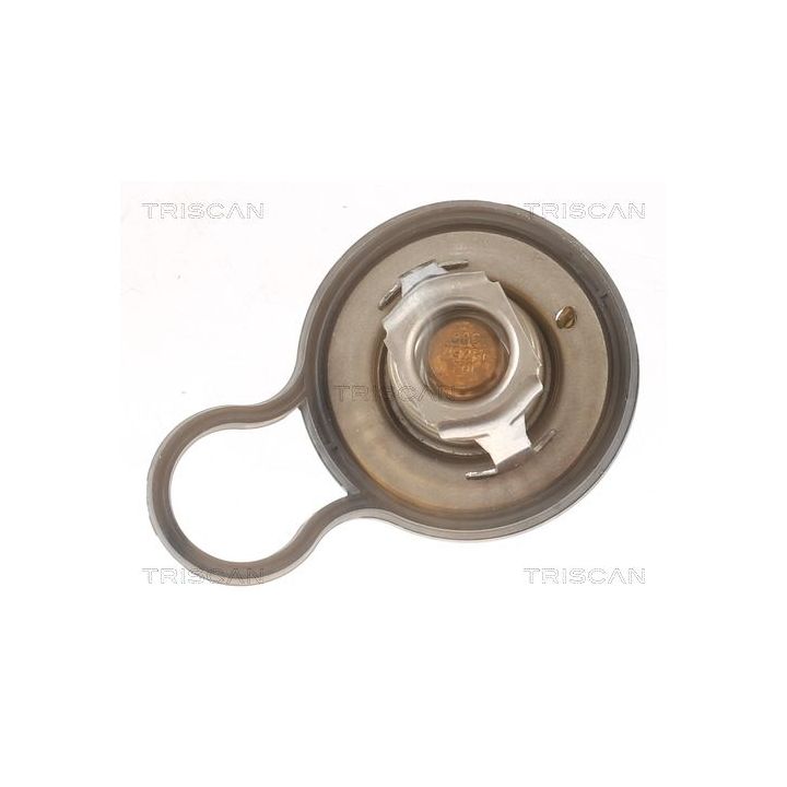 Termostatas, aušinimo skystis TRISCAN 8620 55484