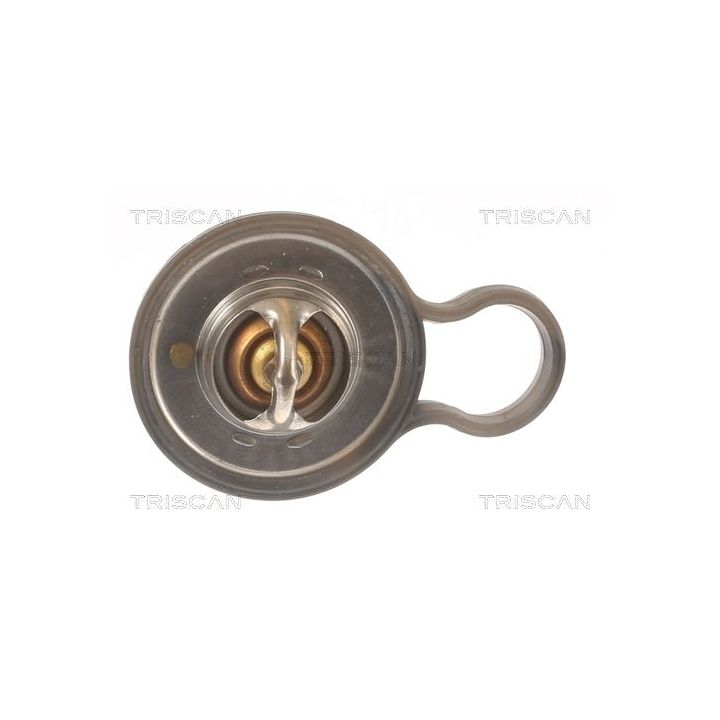 Termostatas, aušinimo skystis TRISCAN 8620 55484