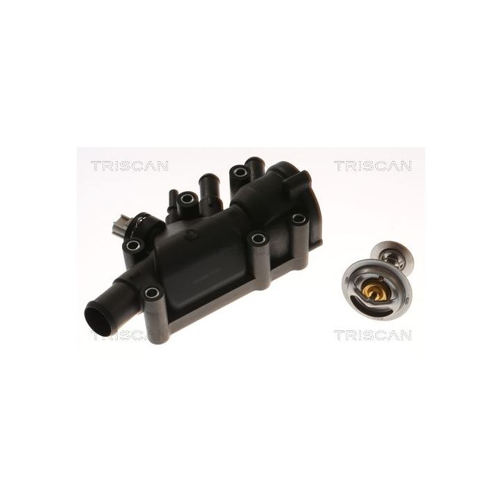 Termostatas, aušinimo skystis TRISCAN 8620 55582