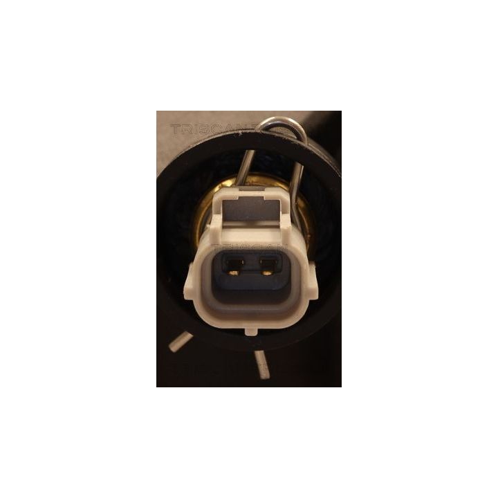 Termostatas, aušinimo skystis TRISCAN 8620 55582