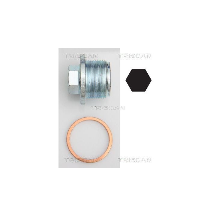 Tarpiklis, cilindro galva TRISCAN 501-3211