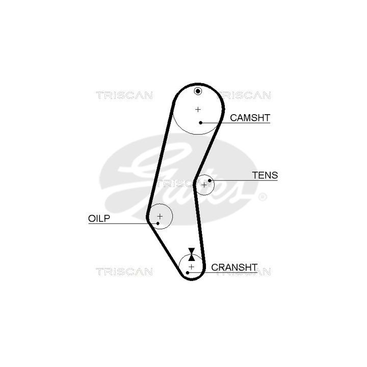 Paskirstymo diržas TRISCAN 8645 5018