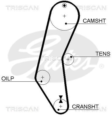 Paskirstymo diržas TRISCAN 8645 5018