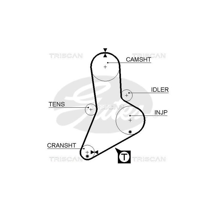 Paskirstymo diržas TRISCAN 8645 5039