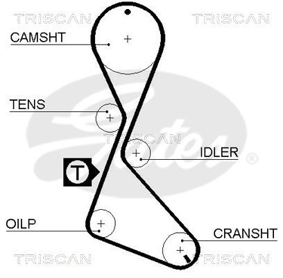 Paskirstymo diržas TRISCAN 8645 5056