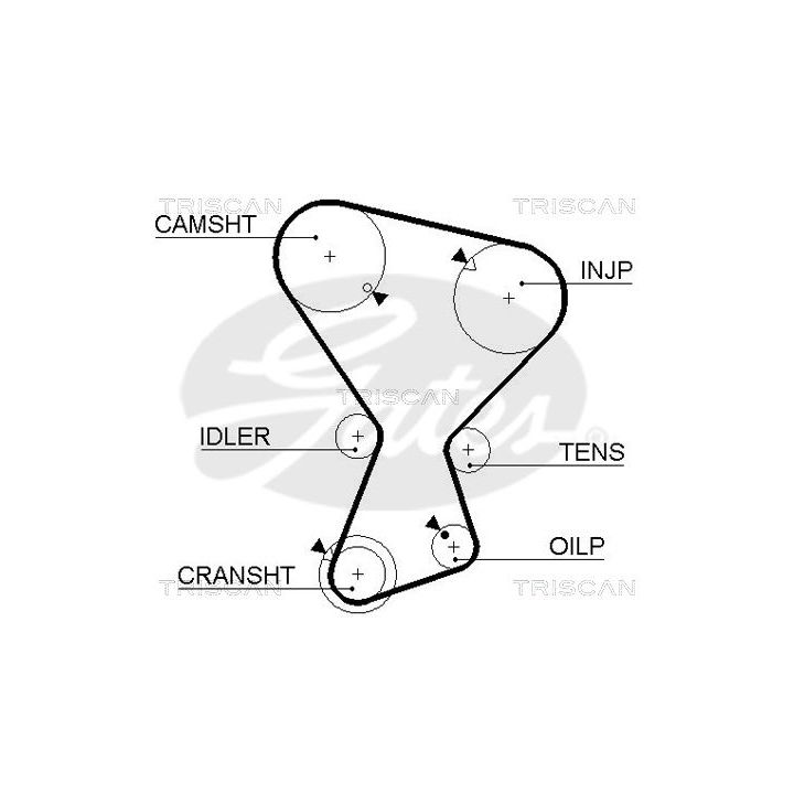 Paskirstymo diržas TRISCAN 8645 5072
