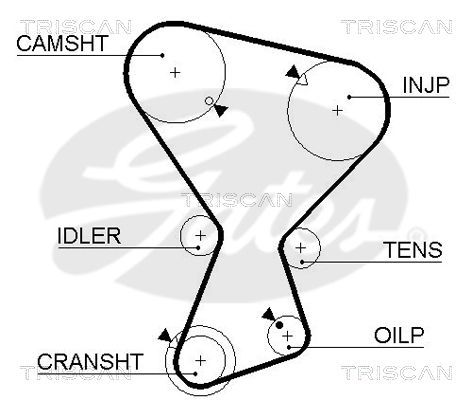 Paskirstymo diržas TRISCAN 8645 5072