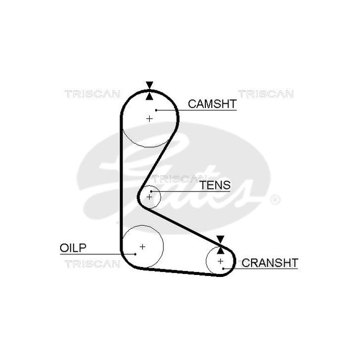 Paskirstymo diržas TRISCAN 8645 5103