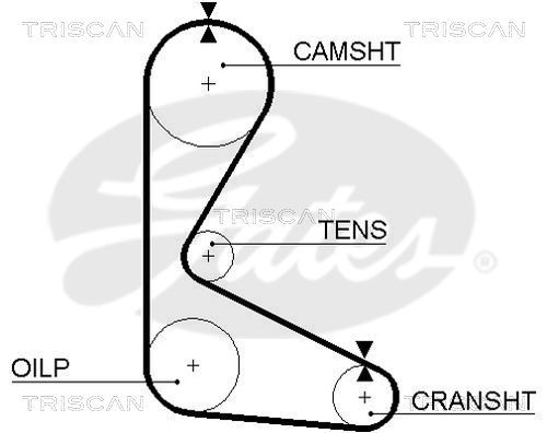 Paskirstymo diržas TRISCAN 8645 5103
