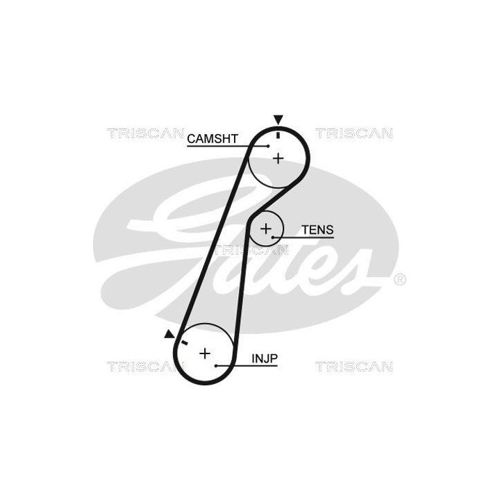 Paskirstymo diržo komplektas TRISCAN 8647 10071
