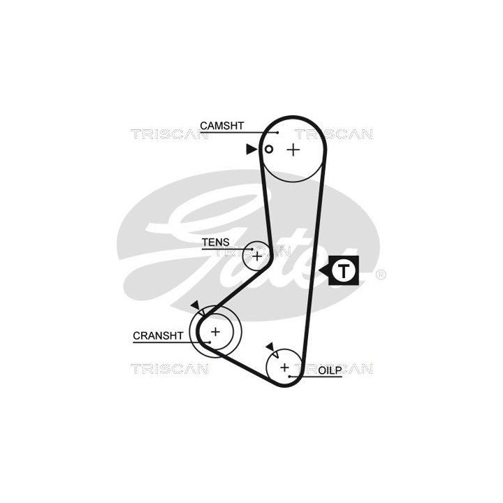 Paskirstymo diržo komplektas TRISCAN 8647 42012