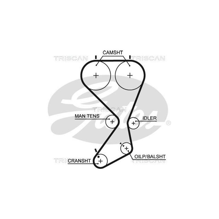 Paskirstymo diržo komplektas TRISCAN 8647 43013