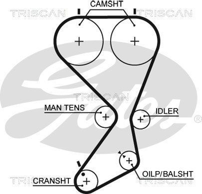 Paskirstymo diržo komplektas TRISCAN 8647 43013