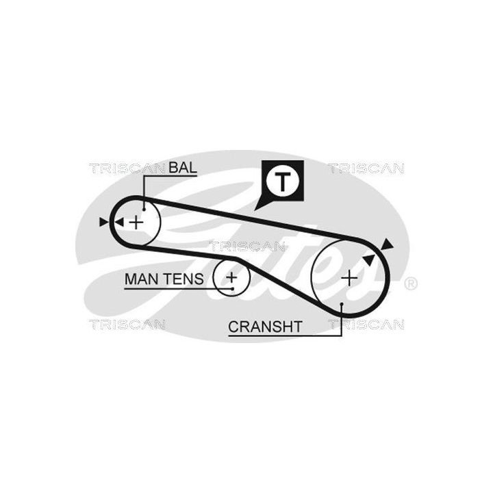 Paskirstymo diržo komplektas TRISCAN 8647 43020
