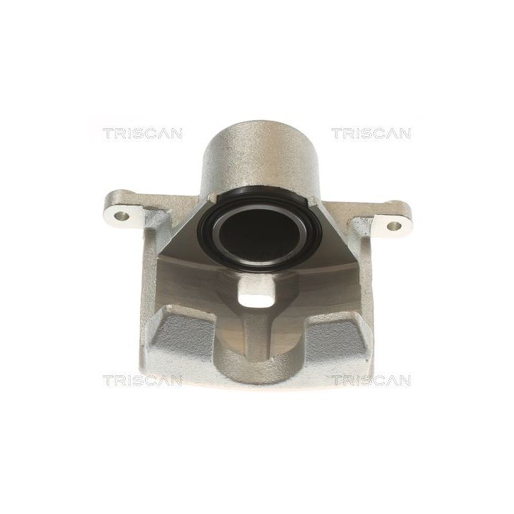 Stabdžių apkaba TRISCAN 8175 50103