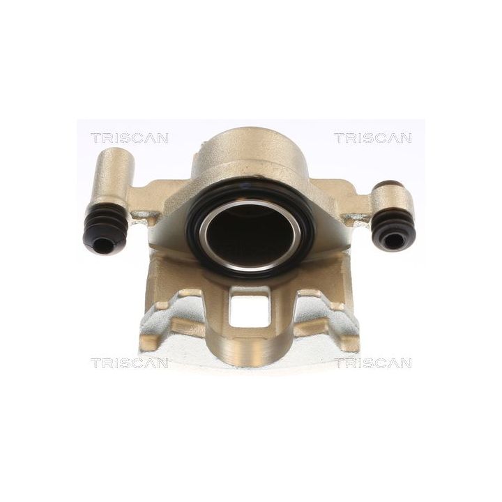 Stabdžių apkaba TRISCAN 8175 50107