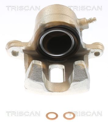 Stabdžių apkaba TRISCAN 8175 50109