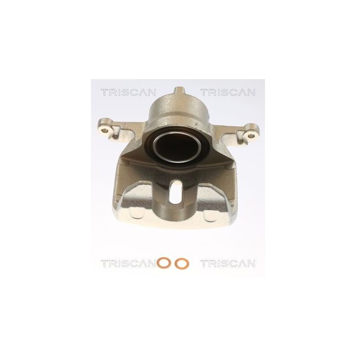 Stabdžių apkaba TRISCAN 8175 50113