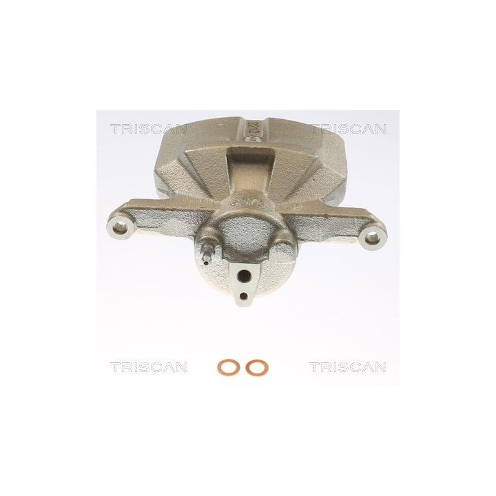 Stabdžių apkaba TRISCAN 8175 50113