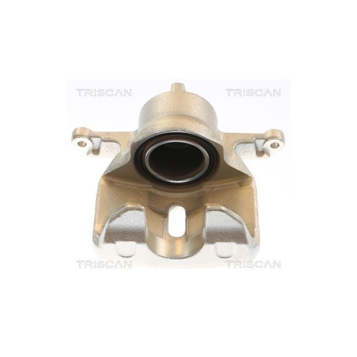 Stabdžių apkaba TRISCAN 8175 50114