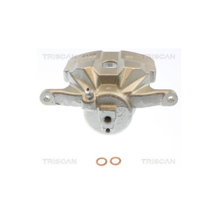 Stabdžių apkaba TRISCAN 8175 50115