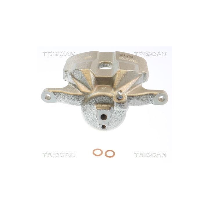 Stabdžių apkaba TRISCAN 8175 50116