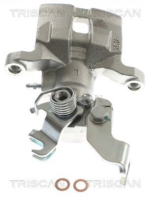 Stabdžių apkaba TRISCAN 8175 50201