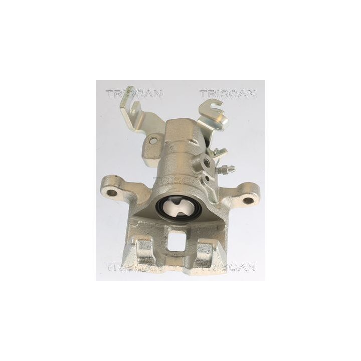 Stabdžių apkaba TRISCAN 8175 50202