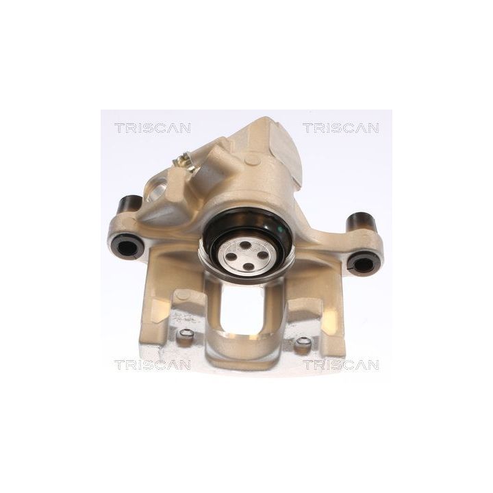 Stabdžių apkaba TRISCAN 8175 50212