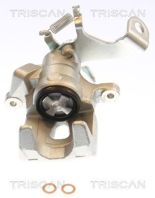 Stabdžių apkaba TRISCAN 8175 50213