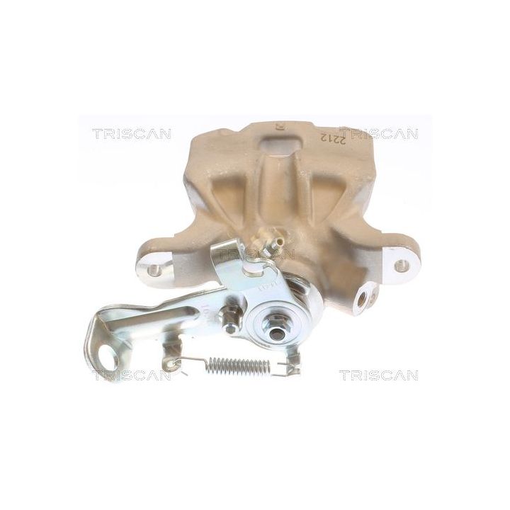 Stabdžių apkaba TRISCAN 8175 50216